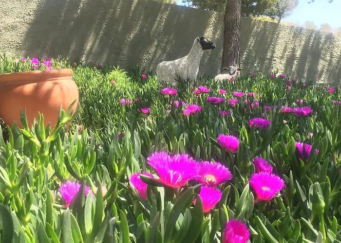 Bed & Breakfast El Otero 4*