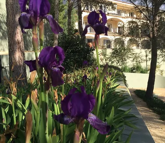 El Otero Bed & Breakfast Aigues