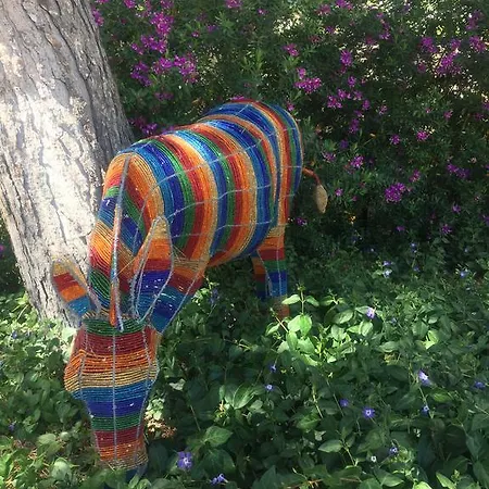 Bed & Breakfast El Otero