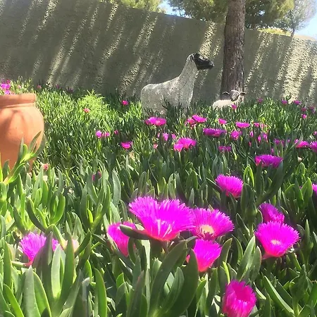 Bed & Breakfast El Otero 4*