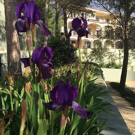 El Otero Bed & Breakfast Aigues