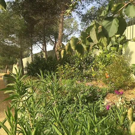 Bed & Breakfast El Otero 4*