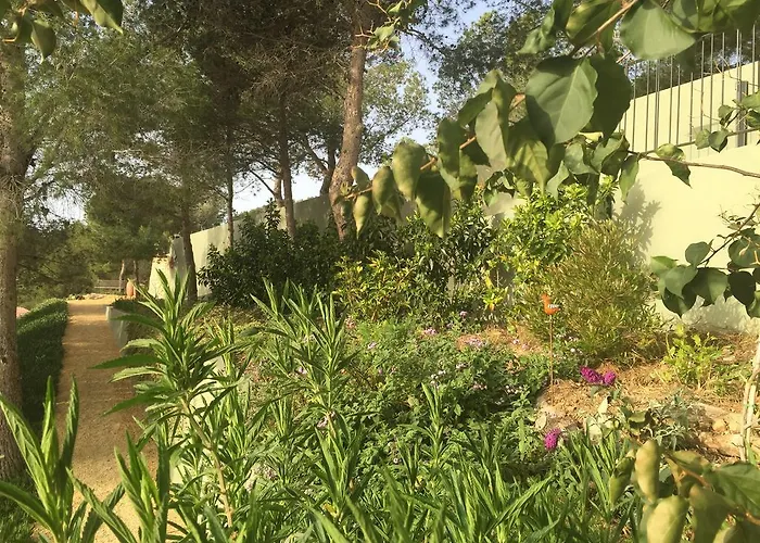 Bed and breakfast El Otero 4*