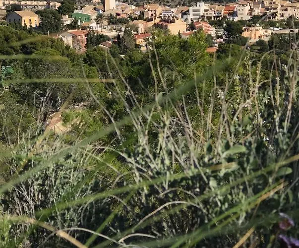 Bed and breakfast El Otero 4*