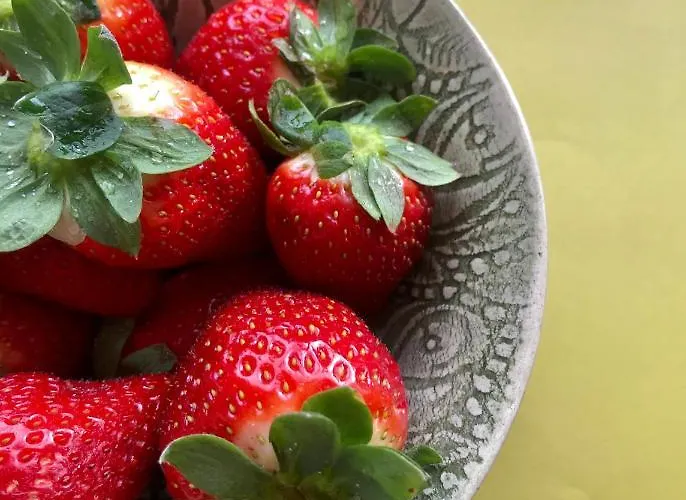 Bed and breakfast El Otero 4*